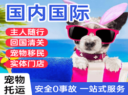 甘南夏河机场货运国际宠物托运 【国